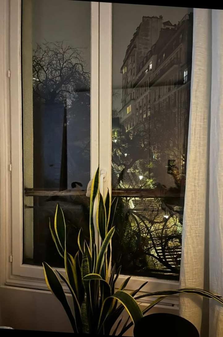 Apartment Bel Lumineux Sur La Butte Montmartre Paris
